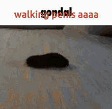 Walking Penis Wow Crazy GIF - Walking Penis Wow Crazy Walking Penis Aaa GIFs