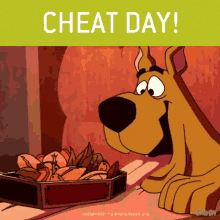 Cheating Cheat Day GIF - Cheating Cheat Day Diet GIFs