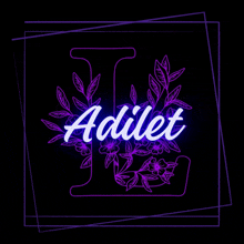 Adilet GIF - Adilet GIFs