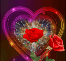 Heart Rose GIF - Heart Rose Boulenin GIFs