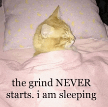 a cat is sleeping on a bed with the words " the grind never starts i am sleeping " below it