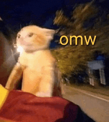 a cat is sitting on a person 's lap with the word omw written on the bottom .