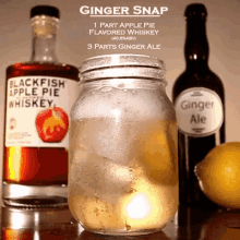 ginger ale ginger snap cocktails drinks