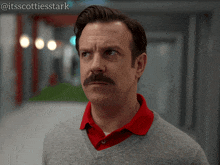 a man with a mustache wearing a grey sweater and a red polo shirt