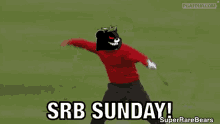 Srb Sunday GIF - Srb Sunday Super Rare Bears GIFs