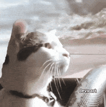 GIF