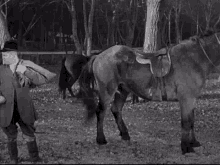 Horse Faint GIF - Horse Faint The Three Stooges GIFs