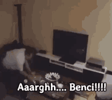 Benci! GIF - Hate Angry Benci GIFs