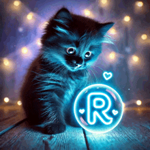 a kitten is sitting next to a glowing bubble with the letter r in it