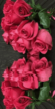 Roselove57 Rose In Water GIF - Roselove57 Rose In Water Rose Lovely GIFs