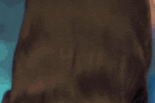 a close up of a woman 's face with a blurry background