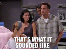 Friends Thats What It Sounded Like GIF - Friends Thats What It Sounded Like Its What It Sounded Like GIFs