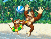 Donkey Kong Diddy Kong GIF - Donkey Kong Diddy Kong Dixie Kong GIFs