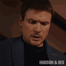 Disappointed Charlie Hudson GIF - Disappointed Charlie Hudson Hudson And Rex GIFs