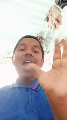 a young boy wearing a blue polo shirt is giving a thumbs up