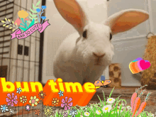 Bun Time Bunny GIF - Bun Time Bunny Rabbit GIFs
