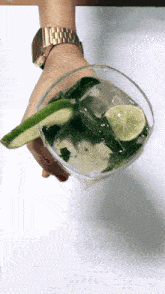 Mojito Bebidas Alcoholicas GIF - Mojito Bebidas Alcoholicas GIFs