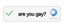 a button that says `` are you gay ? '' with a green check mark and a captcha logo .