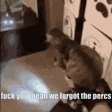 We Forgot The Percs Fuck You Mean GIF - We Forgot The Percs Fuck You Mean Cat GIFs