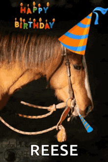 Happy Birthday Horse GIF