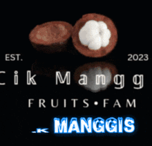 Manggis Fruits GIF - Manggis Fruits Buah GIFs