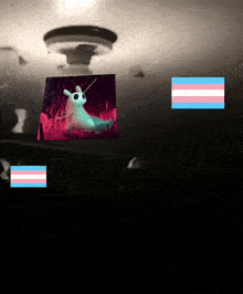 a picture of a rabbit is surrounded by a pink and white transgender flag
