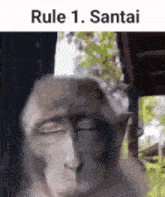 Rule 1 Santai GIF - Rule 1 Santai GIFs