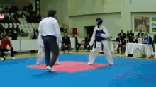 Ninja Karate GIF - Ninja Karate Kill GIFs