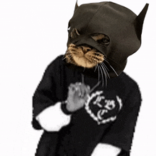 Batcat Batman GIF - Batcat Cat Batman GIFs