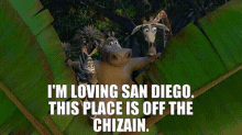 madagascar marty im loving san diego this place is off the chizain i love this place