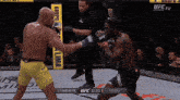 two men are fighting in a ufc ring with a sign that says grupo lima