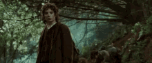Lord Of The Rings Frodo GIF - Lord Of The Rings Frodo Off The Road GIFs