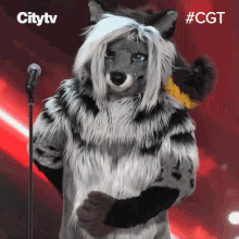 Shrug Cassidy Civet GIF - Shrug Cassidy Civet Canadas Got Talent GIFs