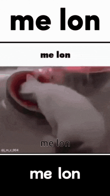 Me Lon GIF - Me Lon GIFs