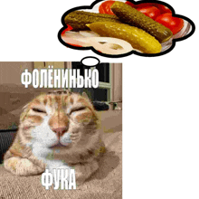 a cat is laying on a couch with its eyes closed and a thought bubble with pickles and tomatoes coming out of it