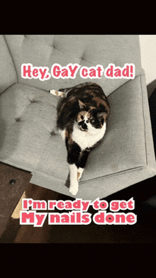 a calico cat laying on a grey couch with a caption that says hey gay cat dad
