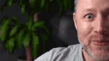 Limmy Pucker GIF - Limmy Pucker Away Now GIFs