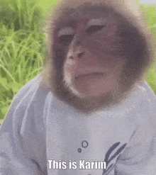 Karim Monkey GIF - Karim Monkey This Is Karim GIFs