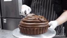 a person is decorating a chocolate cake with made in animotica