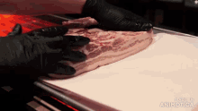 a person wearing black gloves is holding a piece of meat with the words made in animatica visible