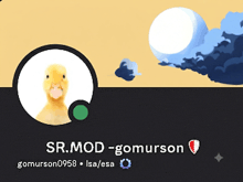 a picture of a yellow duck with the name sr.mod-gomurson