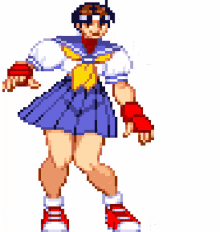 sakura fighter