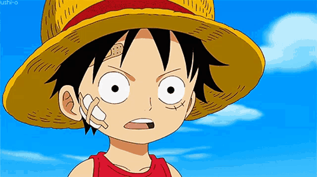 Shocked Monkey D. Luffy from One Piece 😲🐒