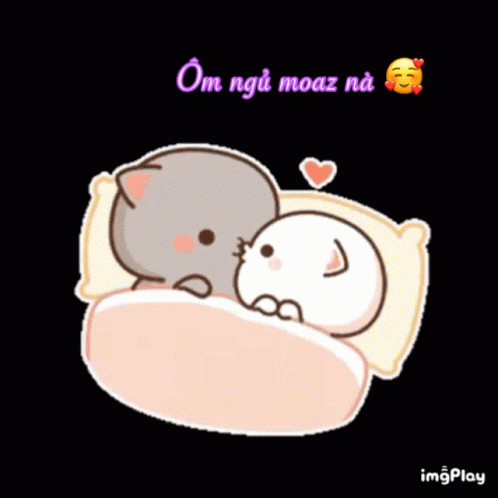 Sleep Cat GIF - Sleep Cat Cute - Discover & Share GIFs