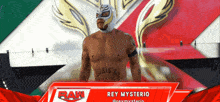 Wwe Rey Mysterio GIF - Wwe Rey Mysterio Entrance GIFs
