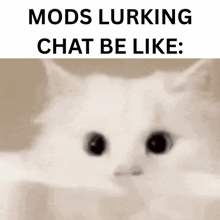 a picture of a cat with the words mods lurking chat be like written above it