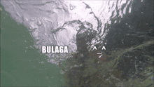 a person is swimming in the ocean and the word bulaga is above them
