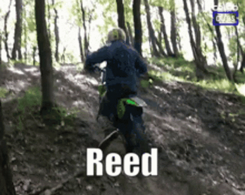 Reed GIFs