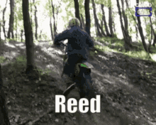 Reed Stupid GIF