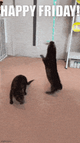 Friday Otters GIF - Friday Otters Happy GIFs